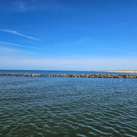 6 Person In Henne Ferienhaus Henne Strand